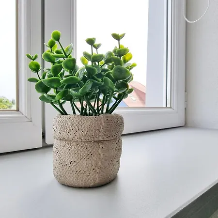 Le Triplex - 5 - 10 Pers- Fibre - Relax Daire