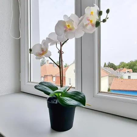Le Triplex - 5 - 10 Pers- Fibre - Relax Apartment *